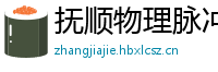 抚顺物理脉冲升级水压脉冲